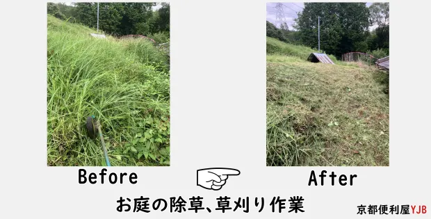 【京都市西京区】専門作業もお任せ!草刈り・剪定・伐採は「プロのネットワーク」を持つ京都便利屋YJBへ